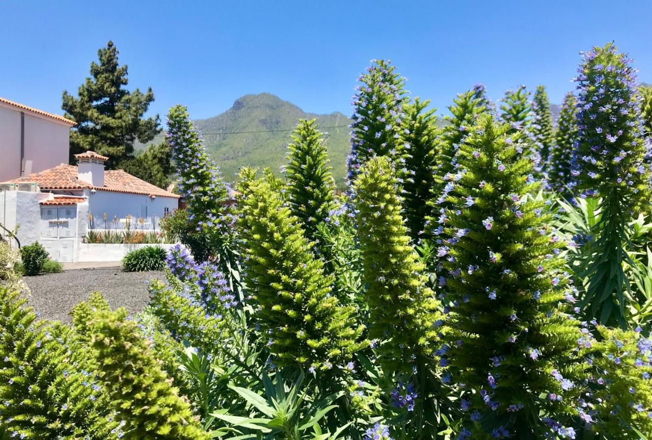 Casita La Rosa Holiday home