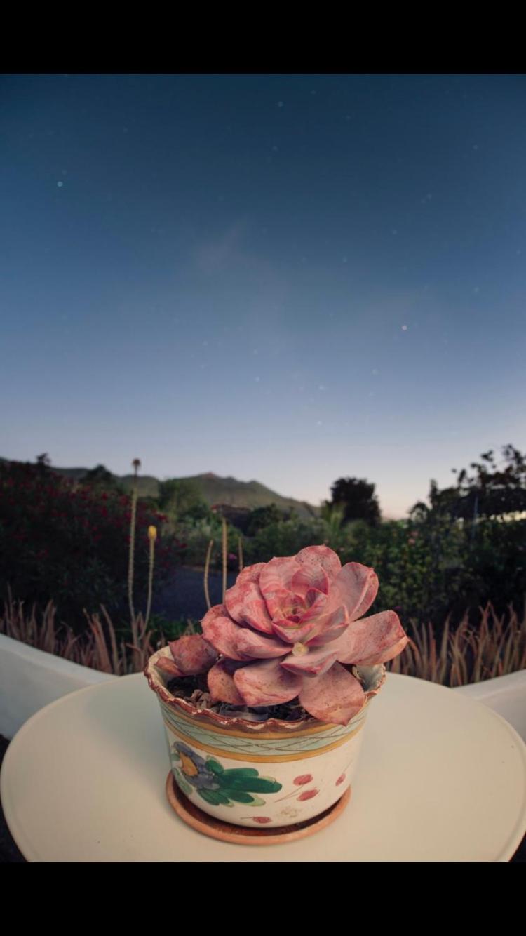 Casita La Rosa *