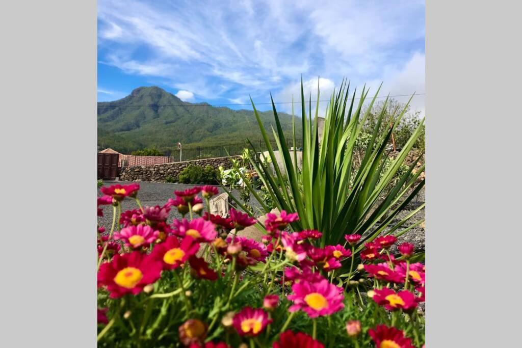 Casita La Rosa El Paso