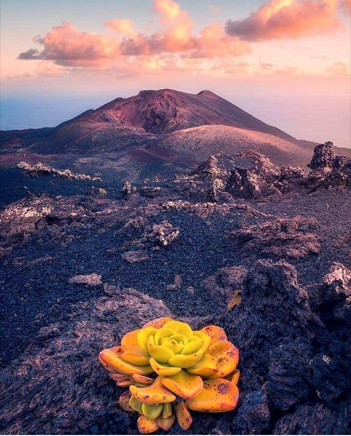 Casita La Rosa *